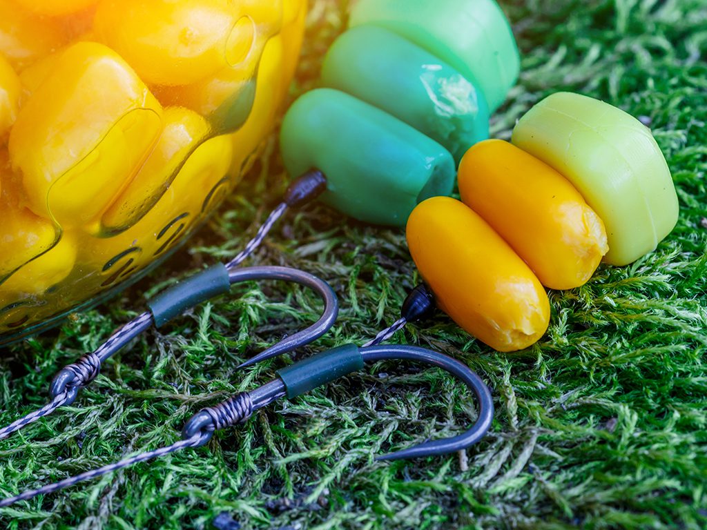 بهترین طعمه برای ماهی کپور ذرت مصنوعی