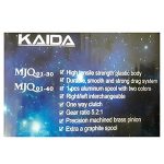 چرخ ماهیگیری کایدا