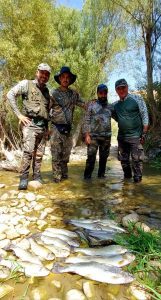 تور گردشگری ماهیگیری