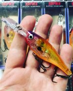 لور ماهیگیری اسپین