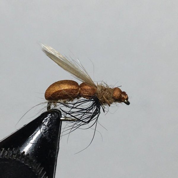 پشه ماهیگیری فلای