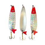 قاشقک ماهیگیری