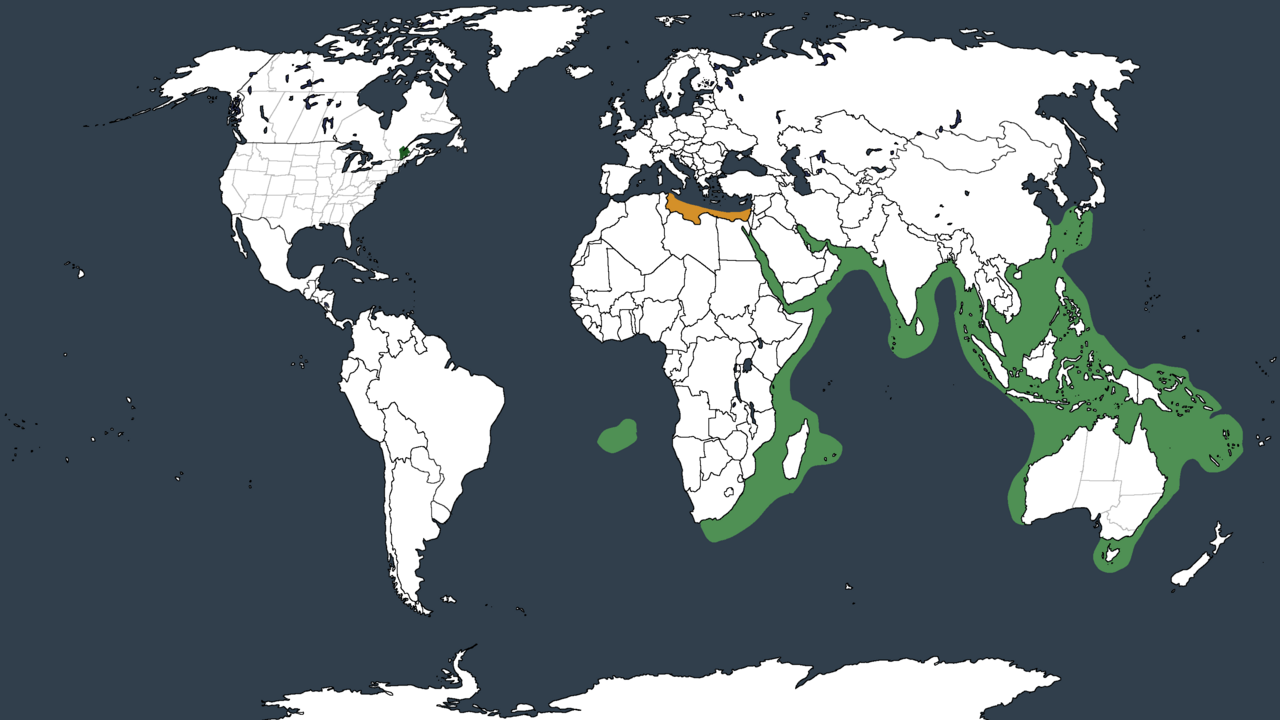 نقشه پراکندگی ماهی شیر در سطح جهان