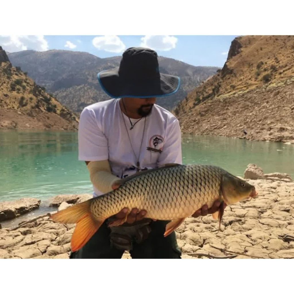 ماهیگیری کپور و بهترین طعمه
