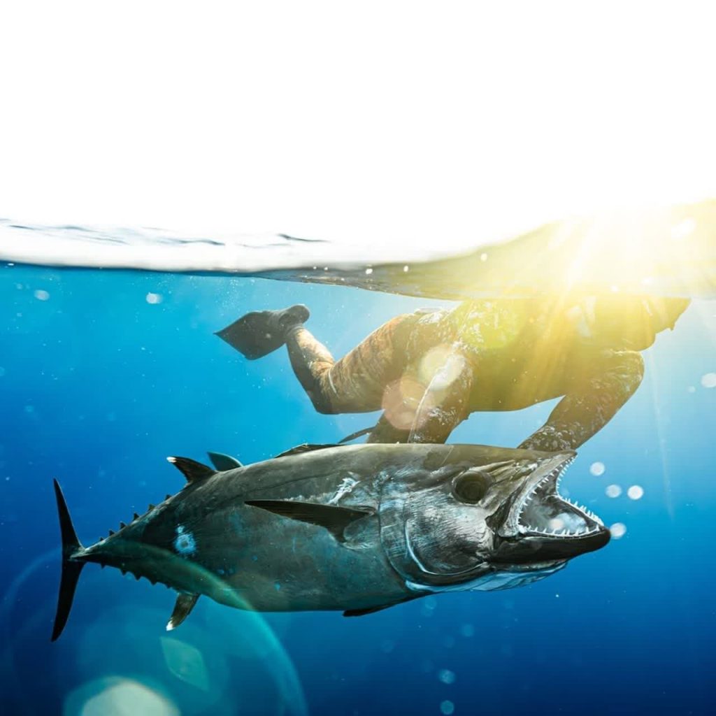 تجهیزات غواصی آزاد و شکار ماهی فری دایو