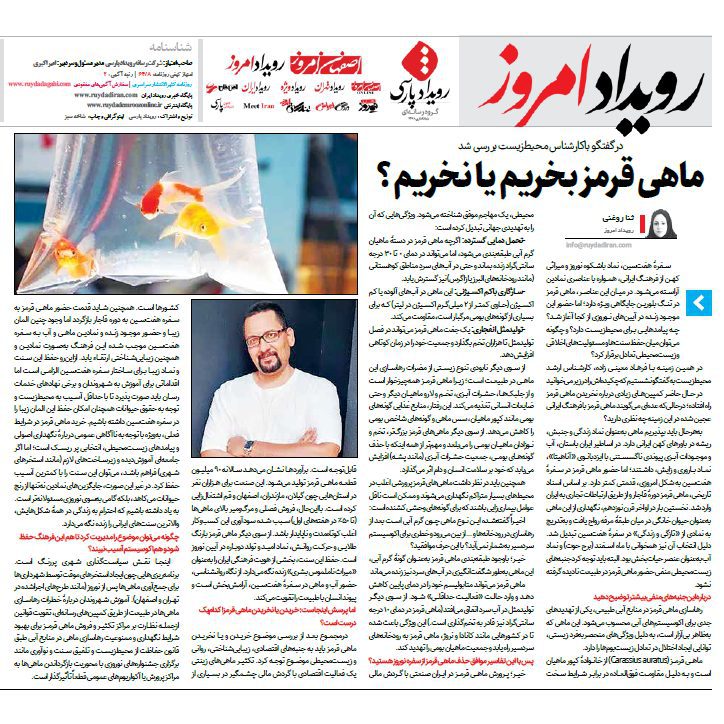 خرید ماهی قرمز