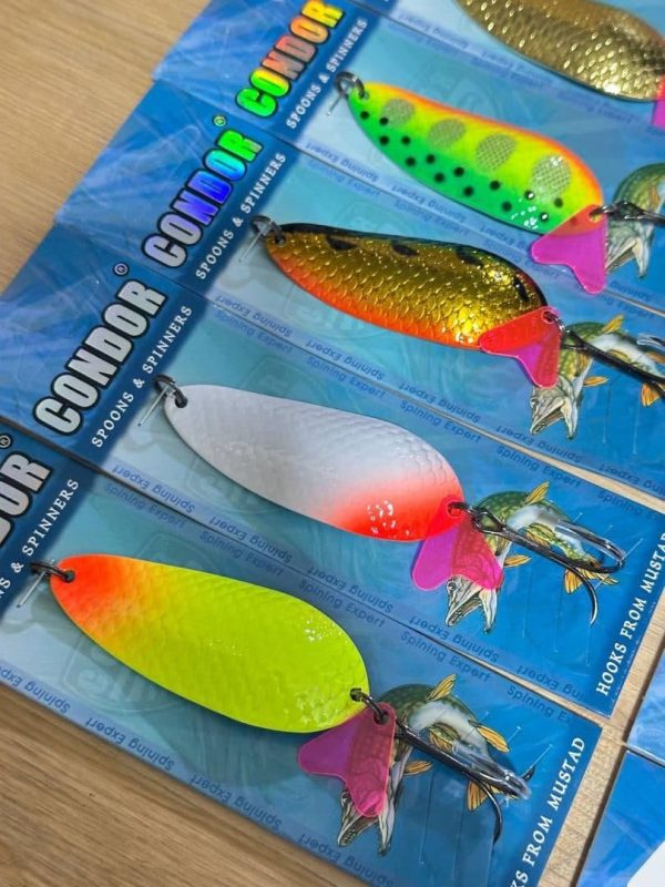 قاشقک ماهیگیری