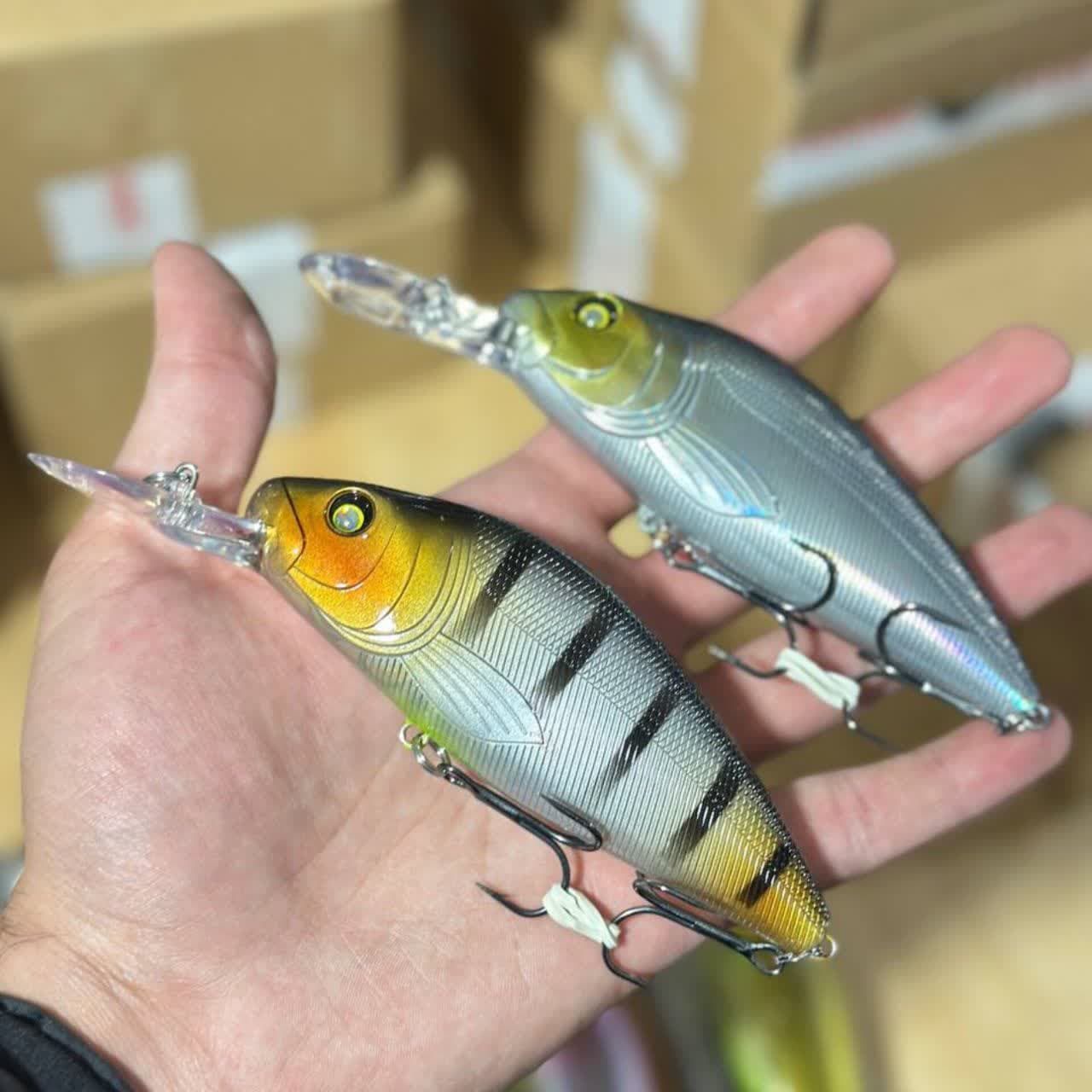 لور استخوانی ماهیگیری آب شیرین کوندور