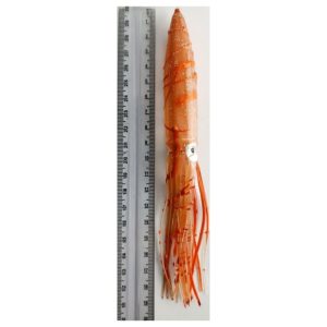 طعمه ماهیگیری آب شور خساک (ماهی مرکب) ژله ای