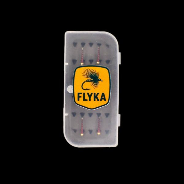 پشه فلای کرم خونی