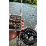 پک 40 عددی پشه فلای نیمف کد N100