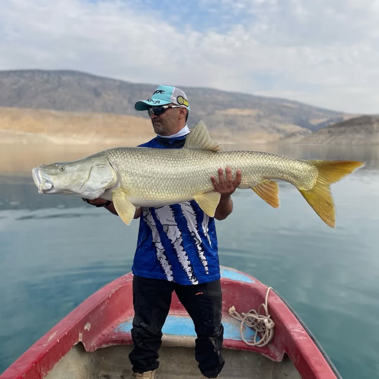Luciobarbus esocinus – Endemic Giant Pike Barb of the Tigris Basin