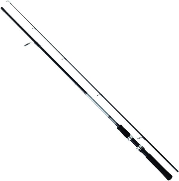 چوب ماهیگیری دایوا مدل Sweepfire 270cm 20-60g