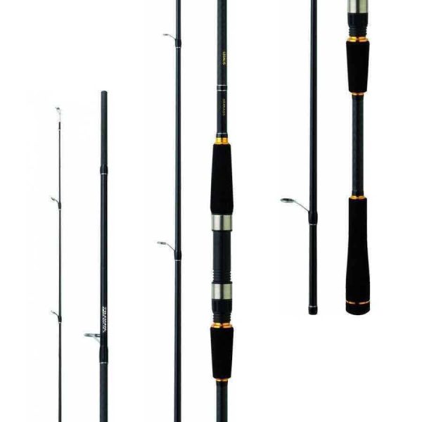 چوب ماهیگیری دایوا لگالیس Daiwa Legalis Seabass 240cm (14–42g)