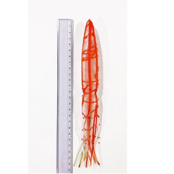 خساک 24cm (ماهی مرکب) ژله ای (بسته 5 عددی)
