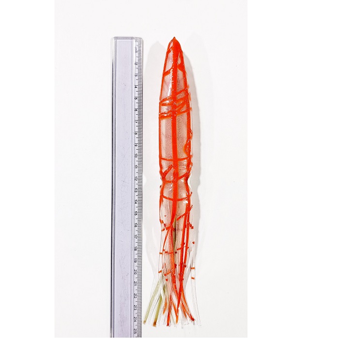 خساک 24cm (ماهی مرکب) ژله ای (بسته 5 عددی)