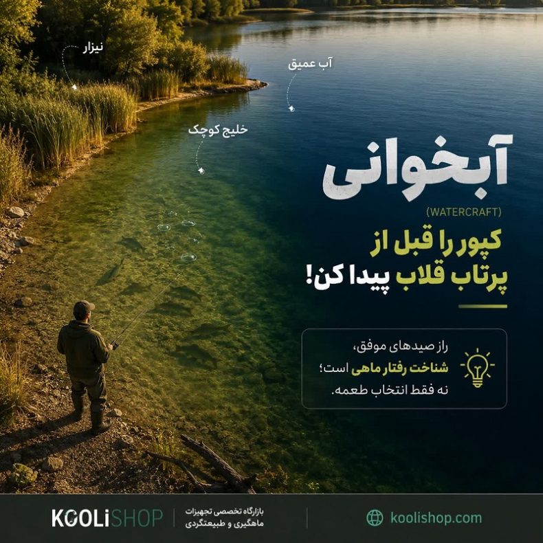 آبخوانی کپور (Watercraft): چگونه محل تغذیه و حضور کپور را پیدا کنیم؟